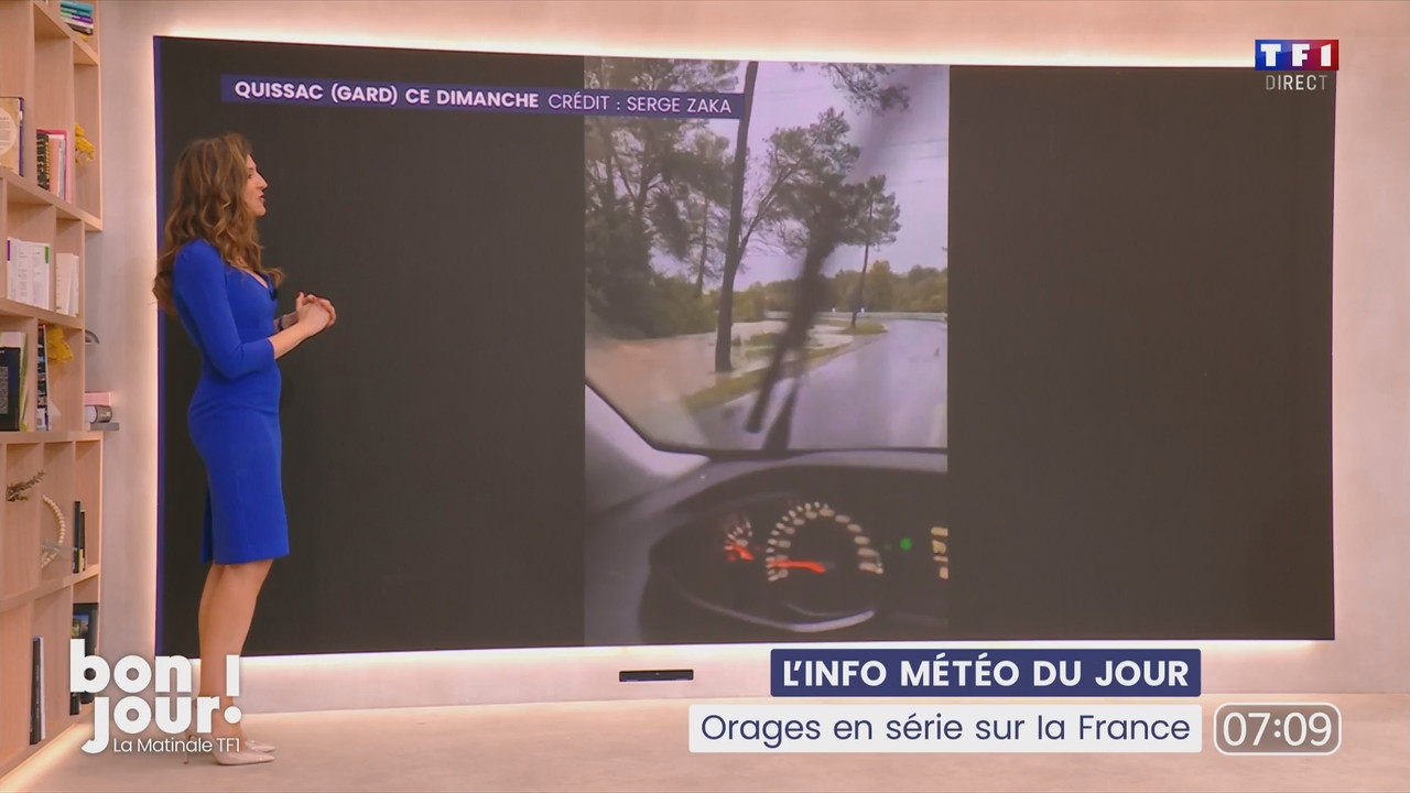 Bonjour Daniela 120525.mp4_snapshot_00.19.58.420