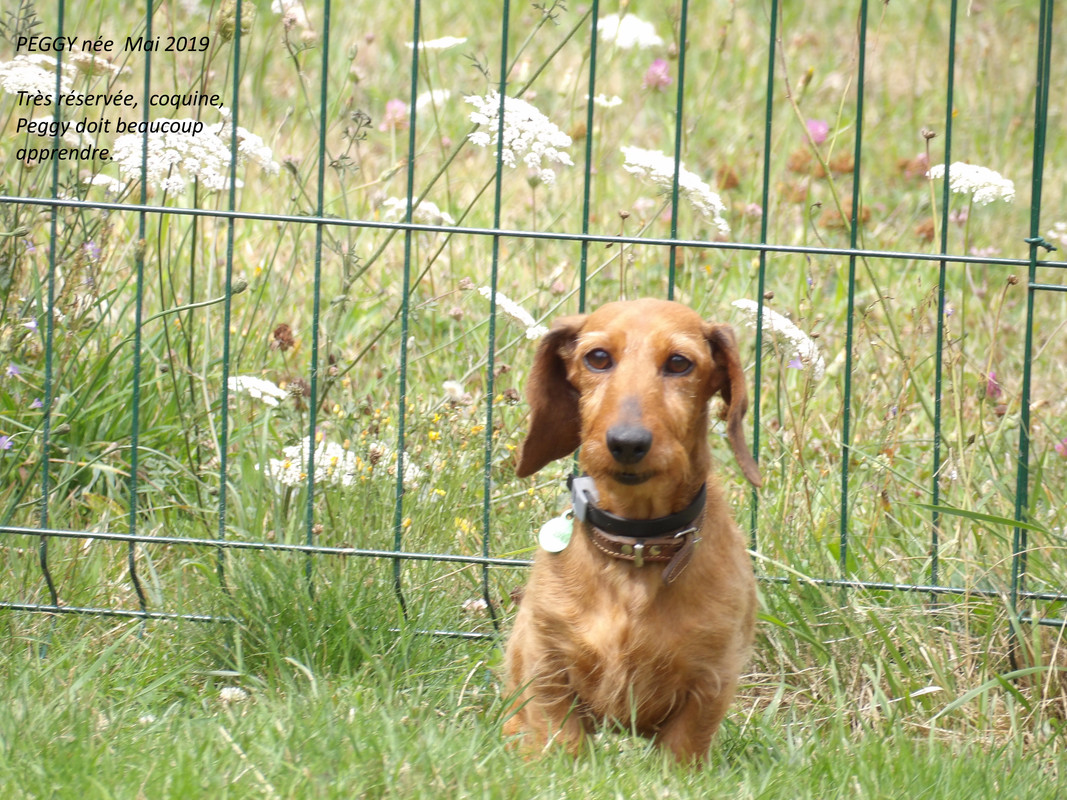 [Image: 125-0203.jpg]