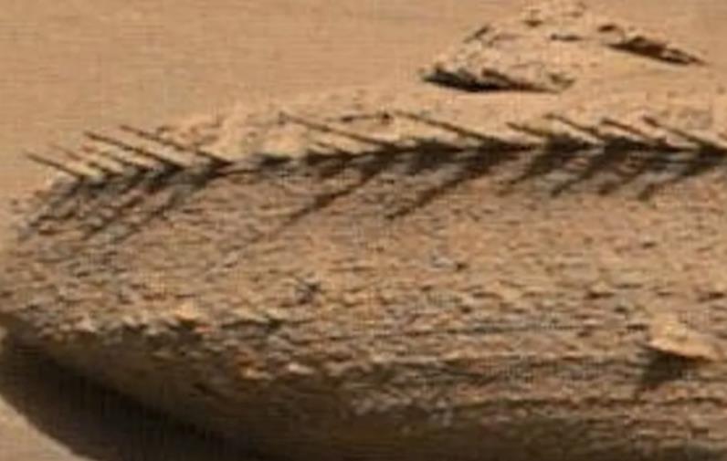 Extraño suelo en Marte