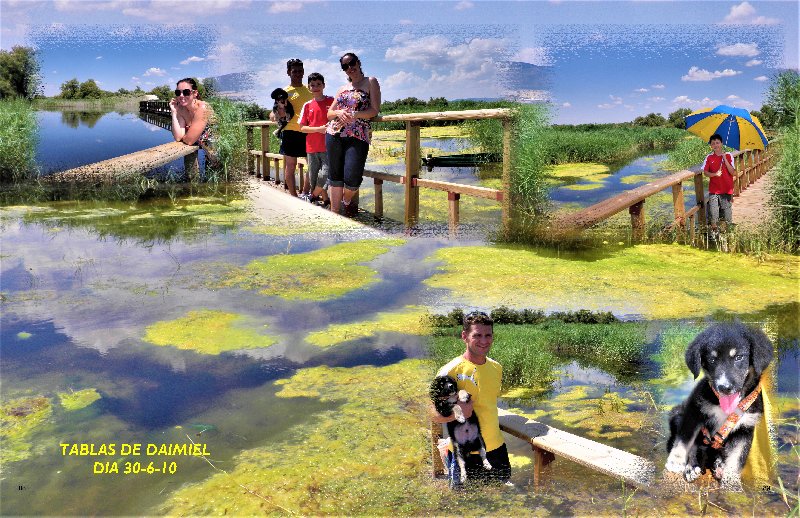 P.N. LAS TABLAS DE DAIMIEL-30-6-2010-CIUDAD REAL - Paseando por España-1991/2016 (2)