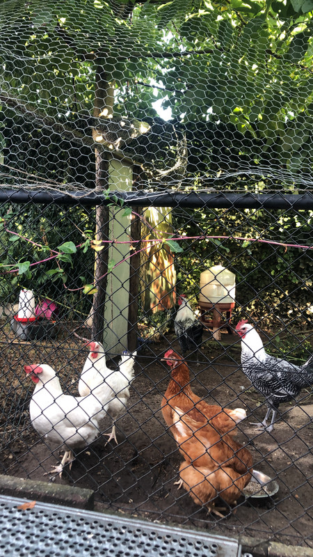 B0FB1A97-F368-411F-B33B-38F93A34B5A8