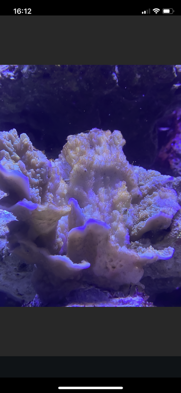 035B3281-EB18-46CA-B991-0CD8C0ABDADA