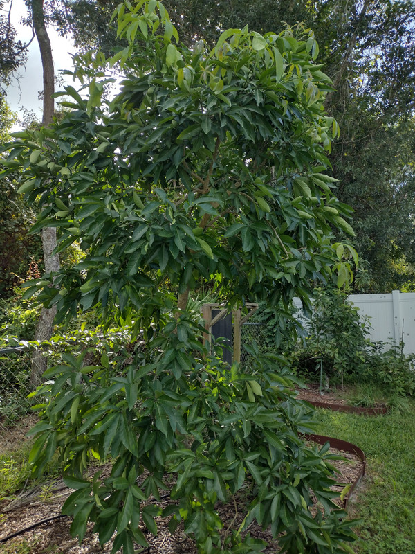 IMG_20231005_162330676_HDR