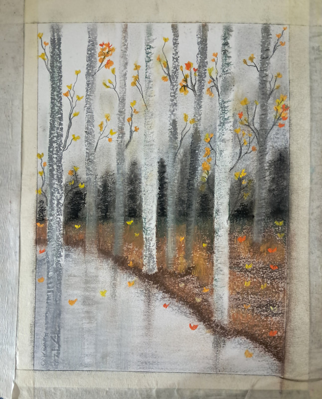 Softpastels(1)