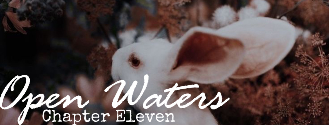 Chapter eleven: A white rabbit 
