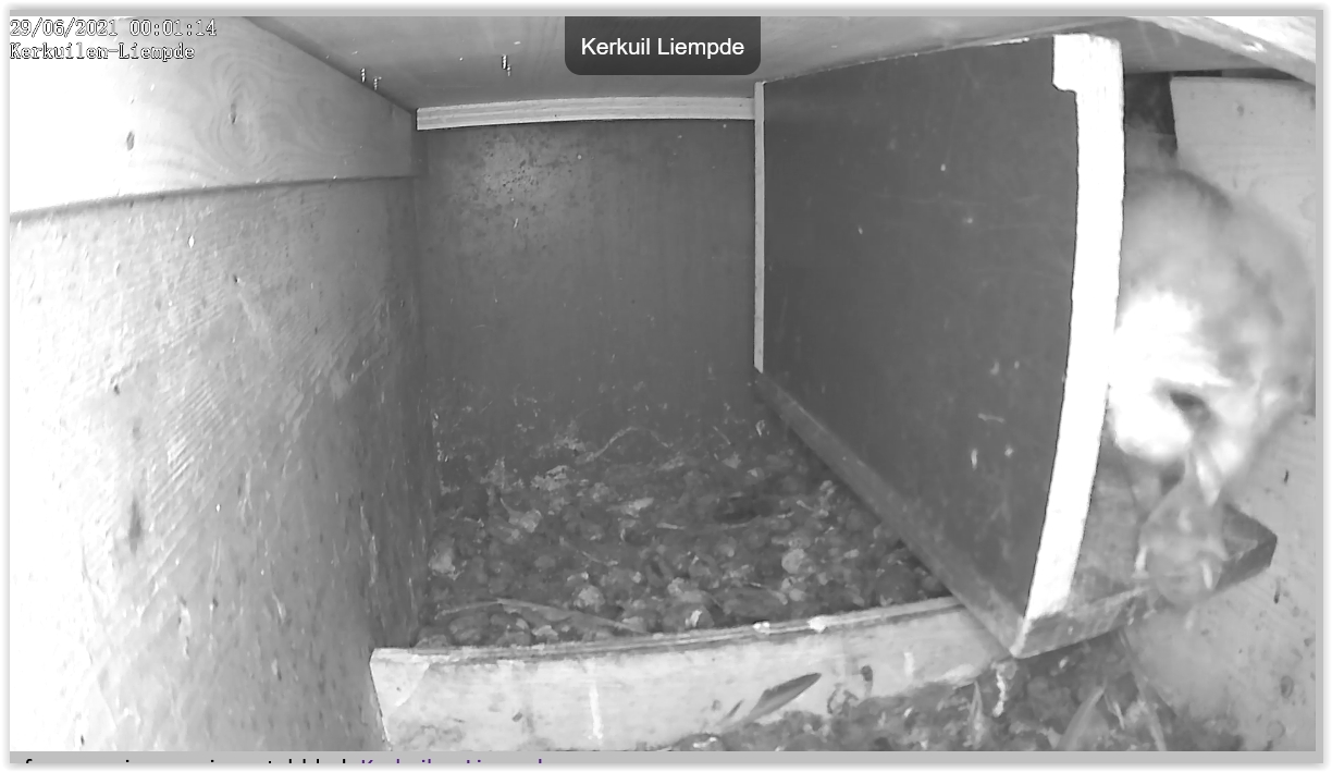 Screen Shot 06-29-21 at 12.01 AM 001