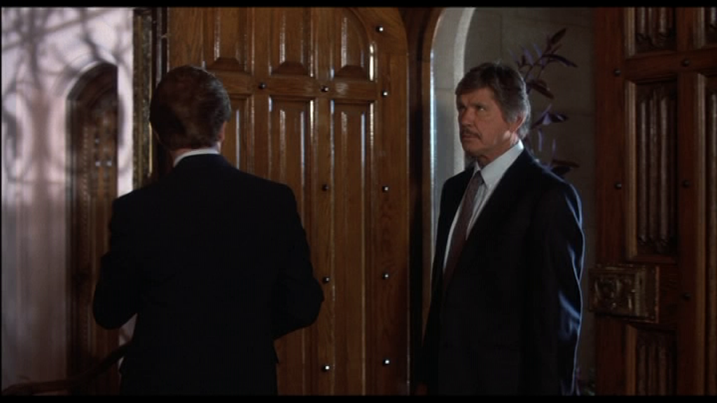 vlcsnap-2024-11-21-15h30m26s161