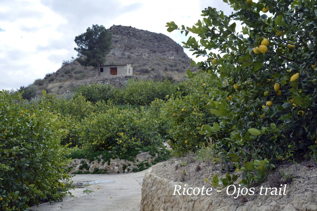 ricote03.jpg (871.76KiB)