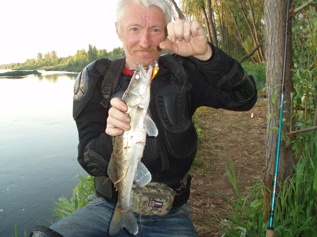 тулва судак