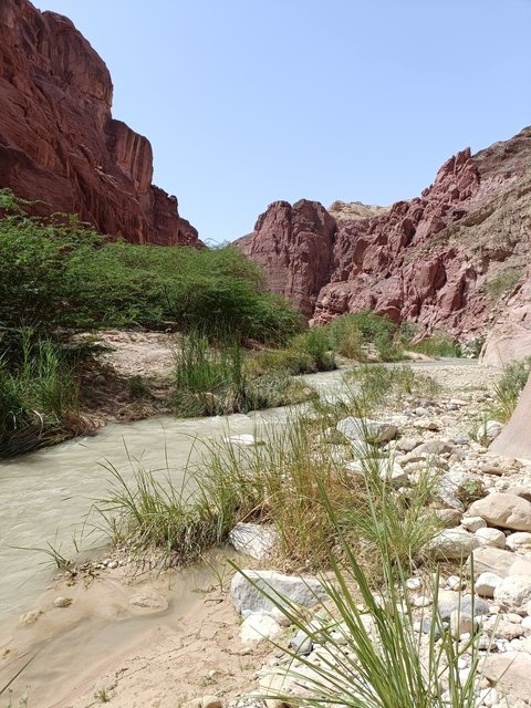 https://i.postimg.cc/VLhrLtSH/Wadi-Hasa-7.jpg