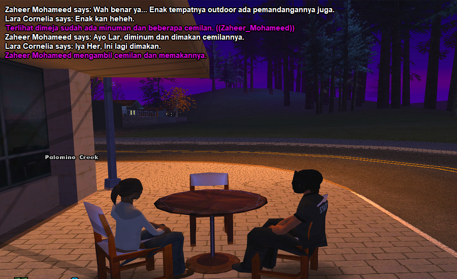 13.png