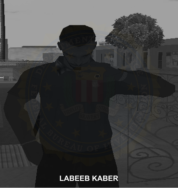 labeeb.png