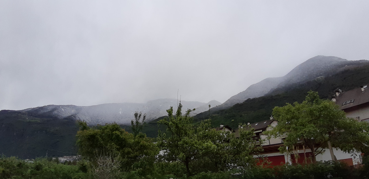 20190505_124653