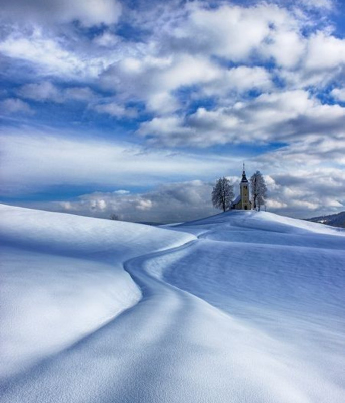 Screenshot_20231017_191753_Pinterest