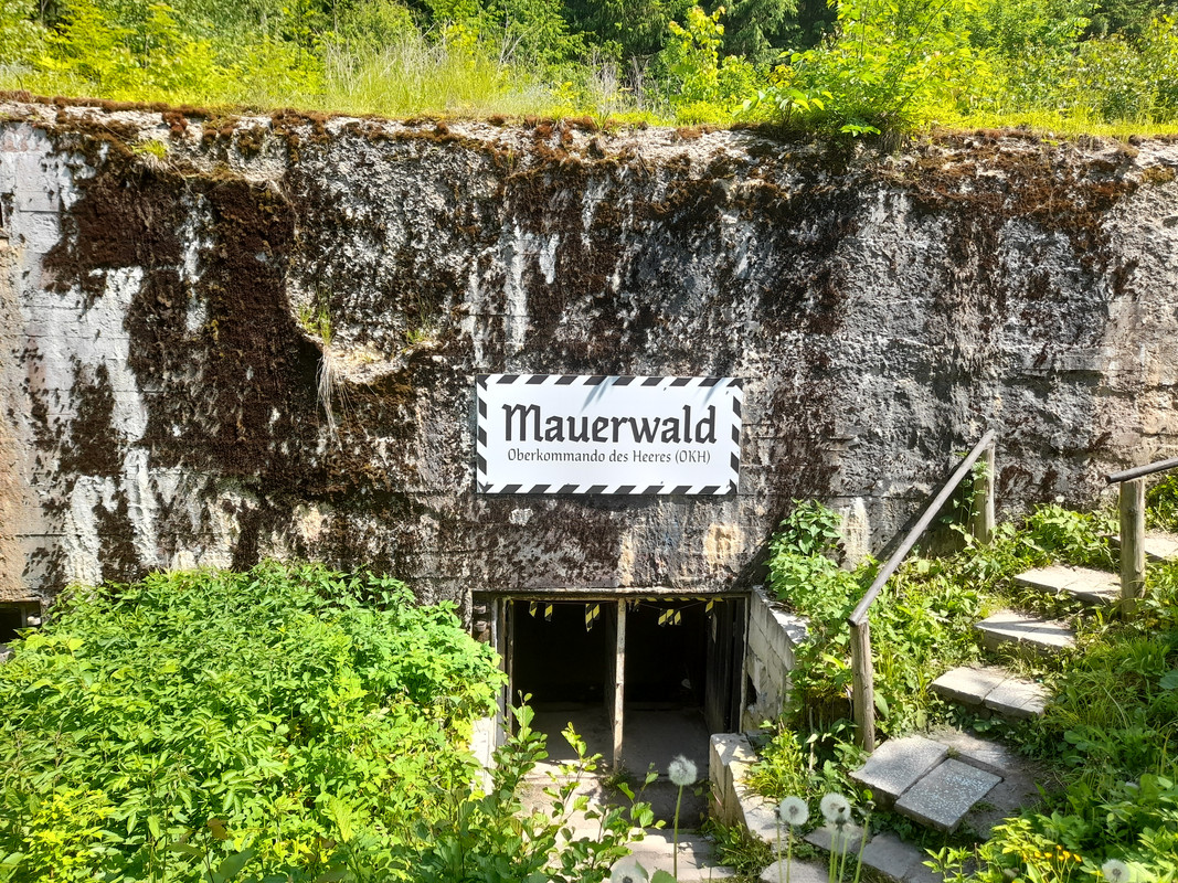 12.02 - 20210605_111606 (Aldona)