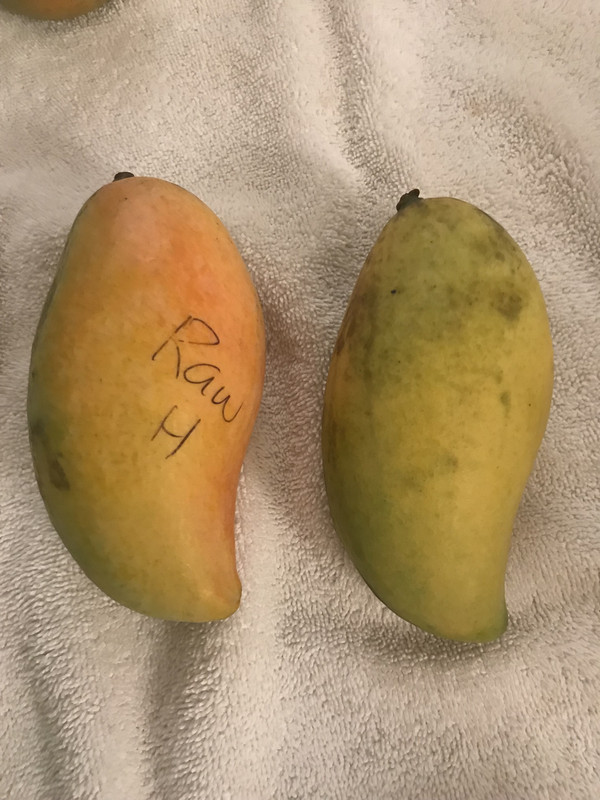 89E28245-1BB2-4510-976C-40E0A6718DCB