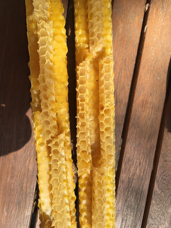 9C743EBB-B6F3-4710-955F-0F5522F58C47