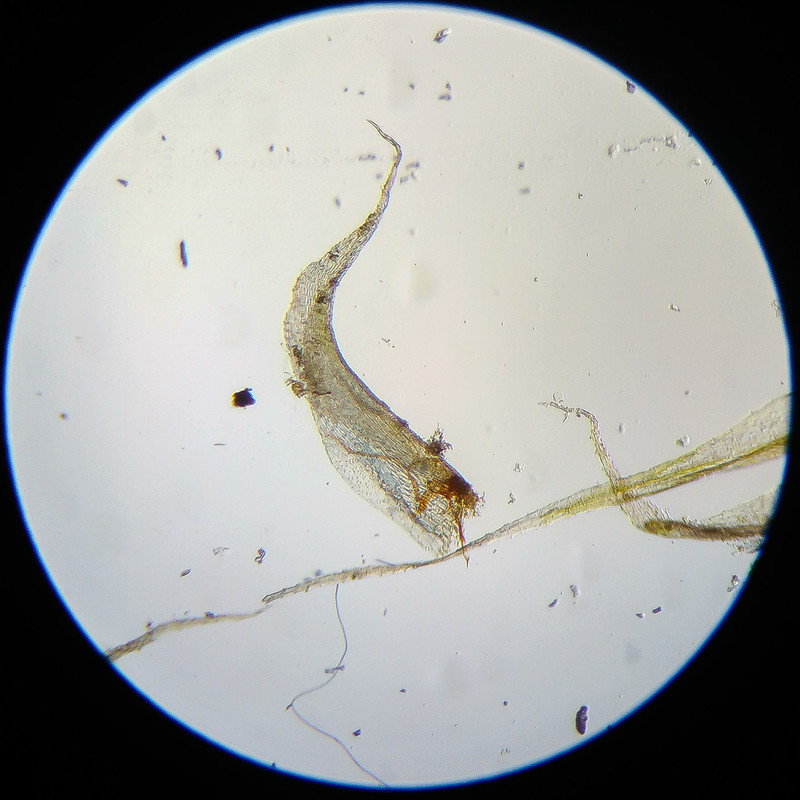 IMG 20250614 124224 HDR