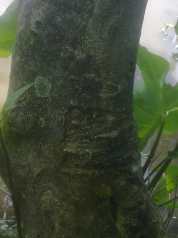 Photo0134_001