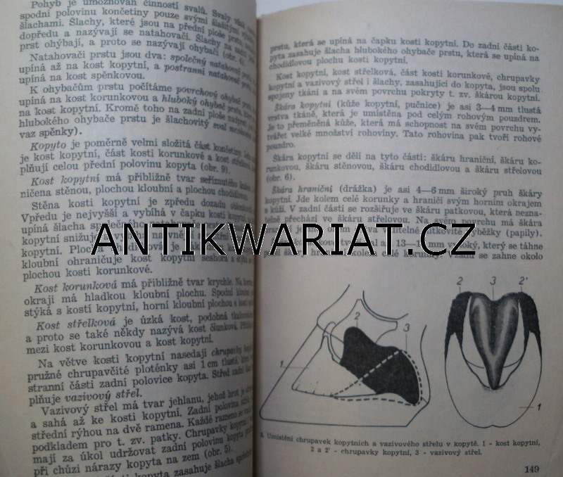 11a-AWECKO00012