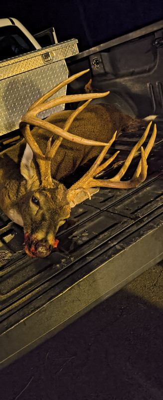 IMG_20241125_181746068_HDR