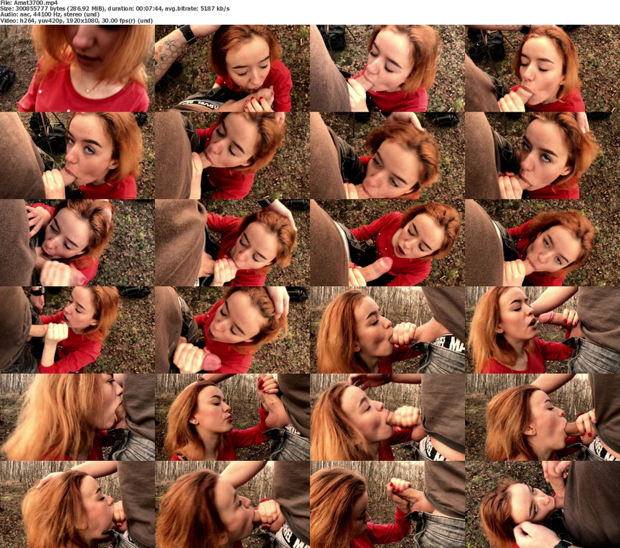 22082024133145screenshot