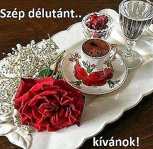 https://i.postimg.cc/VLkKwVk3/szep-delutant.jpg