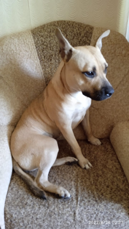 6CA9B72A-6C26-4AE9-9461-0E3F939CFFB8