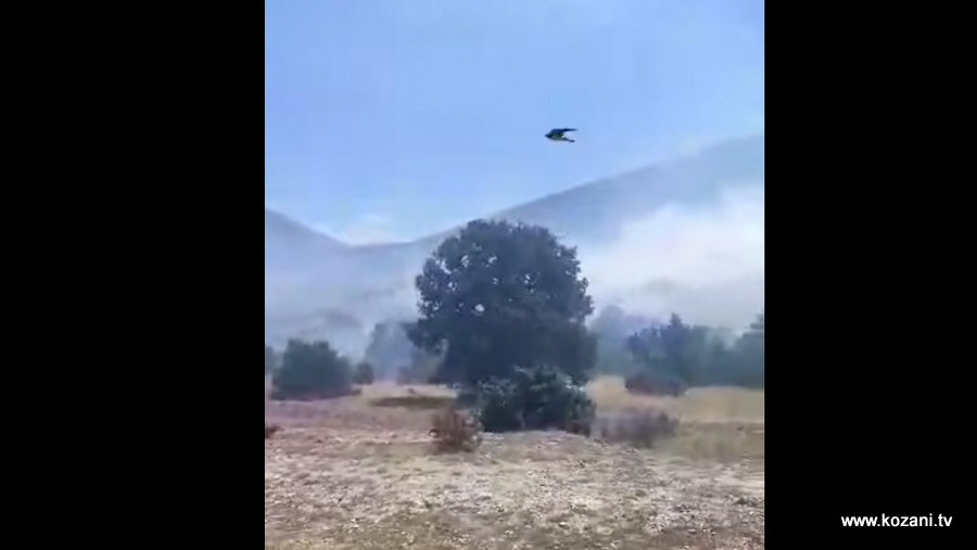 κοζάνη, ειδήσεις, νέα, Πτολεμαΐδα 
