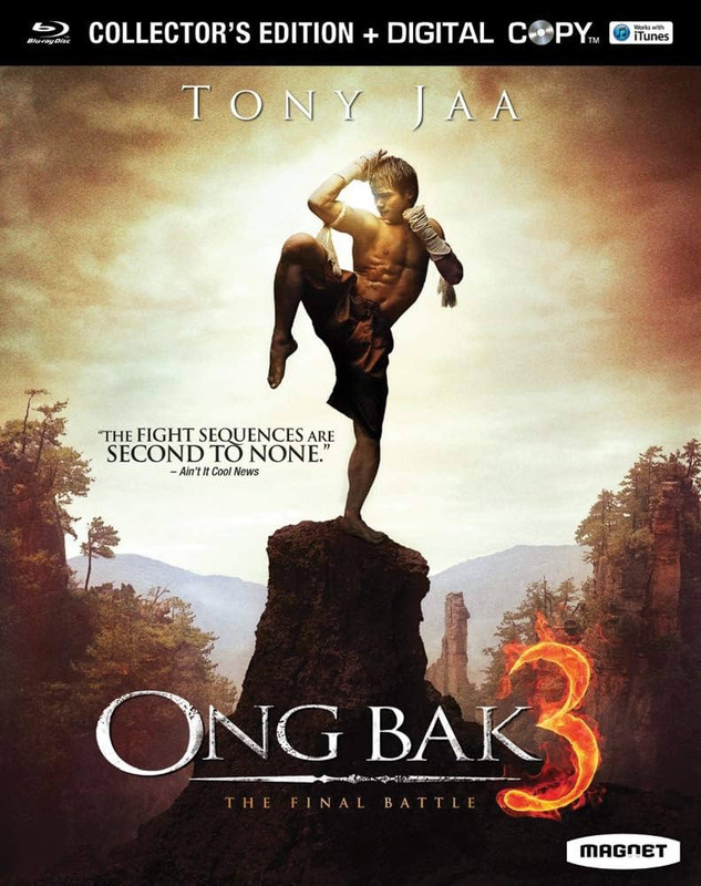 Ong Bak 3 (2010) Dual Audio [Hindi ORG-English] 1080p 720p 480p BluRay H264 AAC ESub
