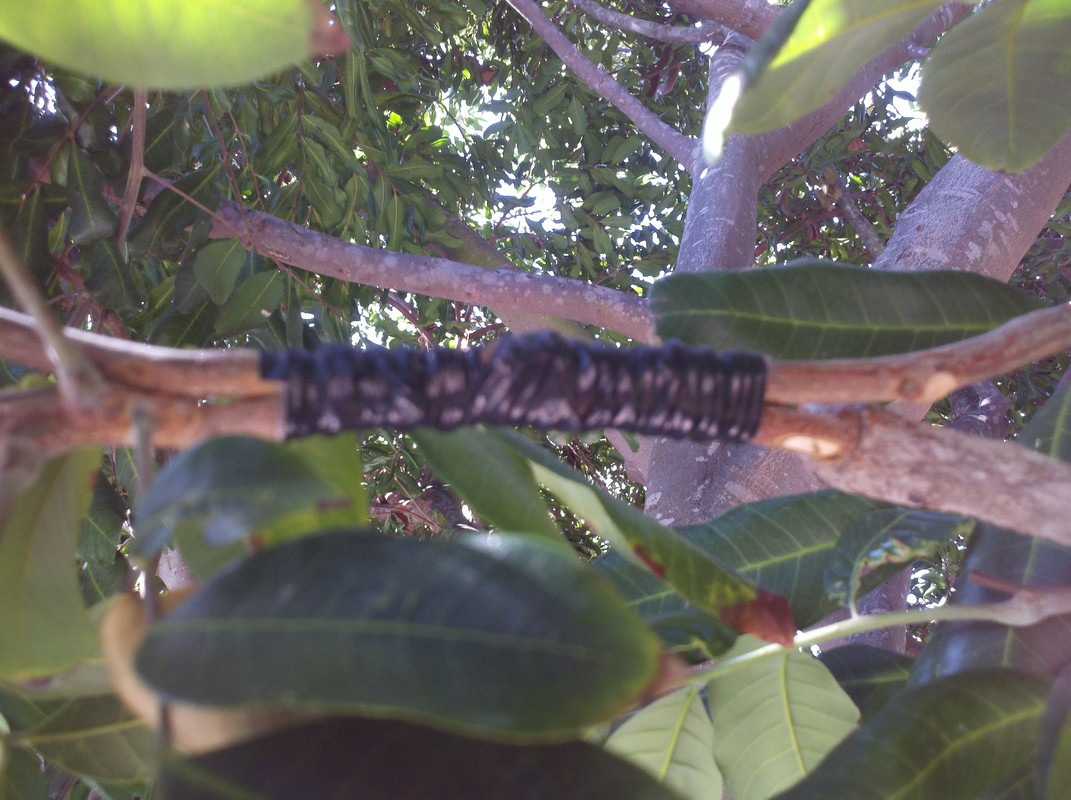 2013-09-07_10-59-28_312