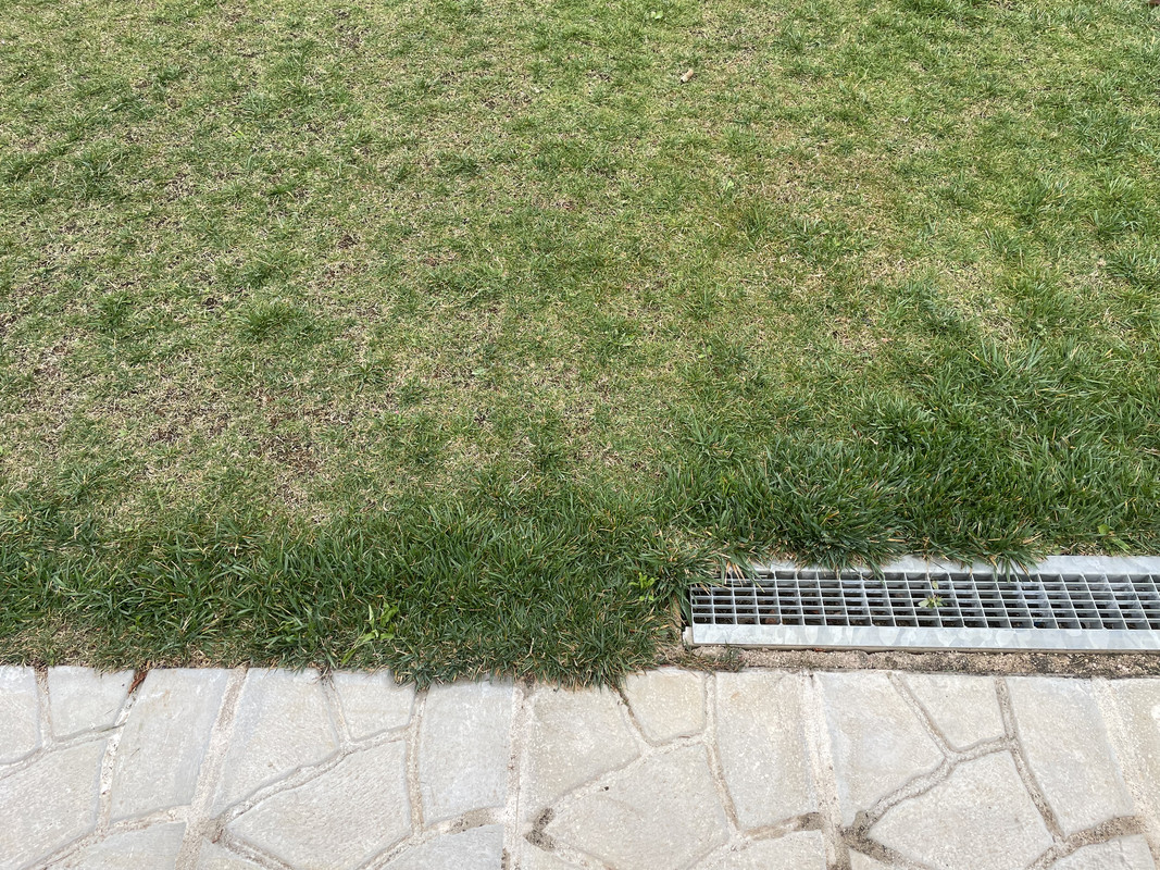 D0C5E20A-5E11-46DE-AE82-0B0DCB16FB4F