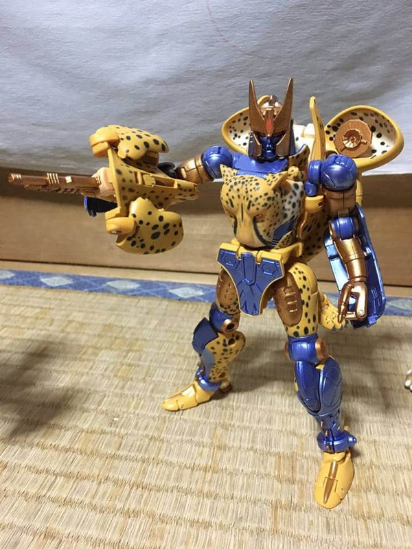 16864680_413135565703543_6518817079520294969_n