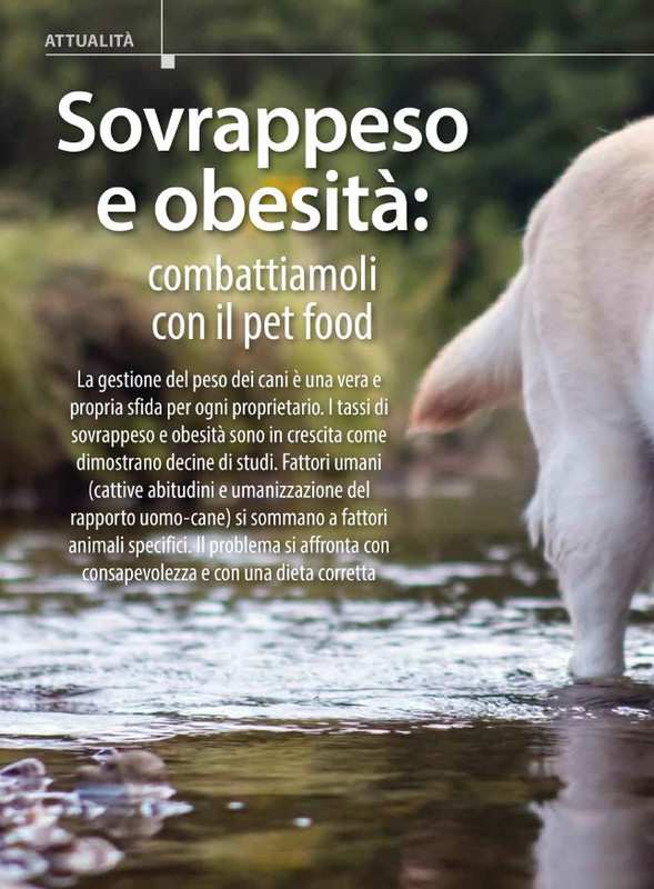 Il M C Set-Ott 2024 (1)