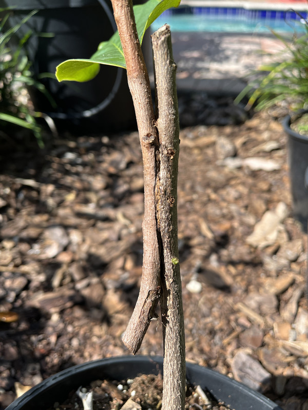 3E564406-1E78-48FE-8B0B-31C1895F799B