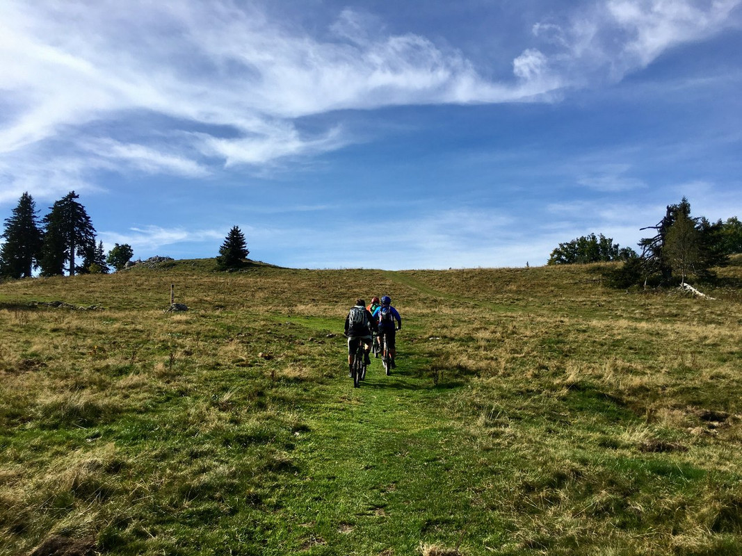 https://i.postimg.cc/VLm8Y4Nq/IMG-2937.jpg