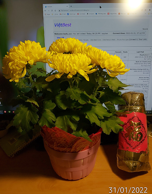 [Image: IMG-20220131-191603.jpg]