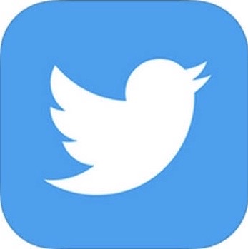 icono Twitter