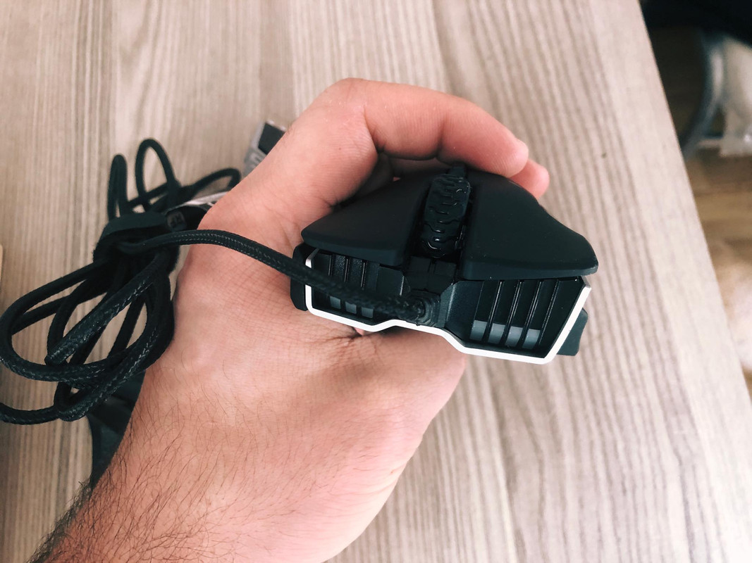 82950202-160094518627186-627275285194499