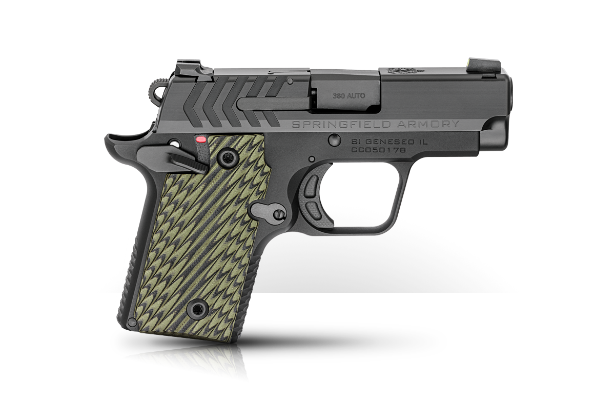 pistol spring