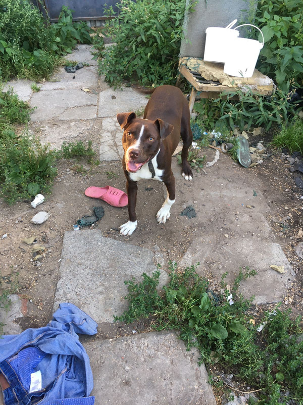 D62F5A5F-05D0-4FCF-8FE1-3D9A44929080