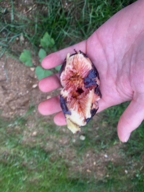 BCDF9C24-04BF-47A2-9CAF-7CDA69950C33