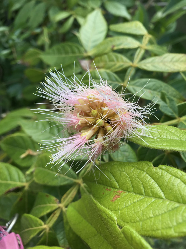 5E52879F-B6CA-47E5-B9EC-A124D1A15329