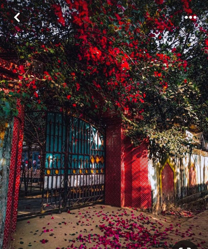 Screenshot_20240324_220433_Pinterest