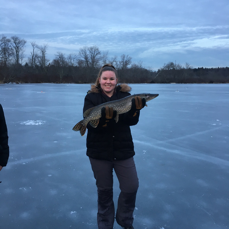 144BB55B-9387-4E2F-B9F3-1B9B001E689E