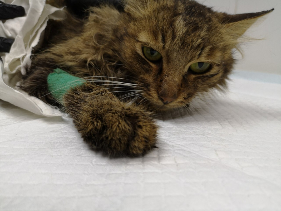 7E74EA27-C306-4D0D-A9AC-05AD84B88083