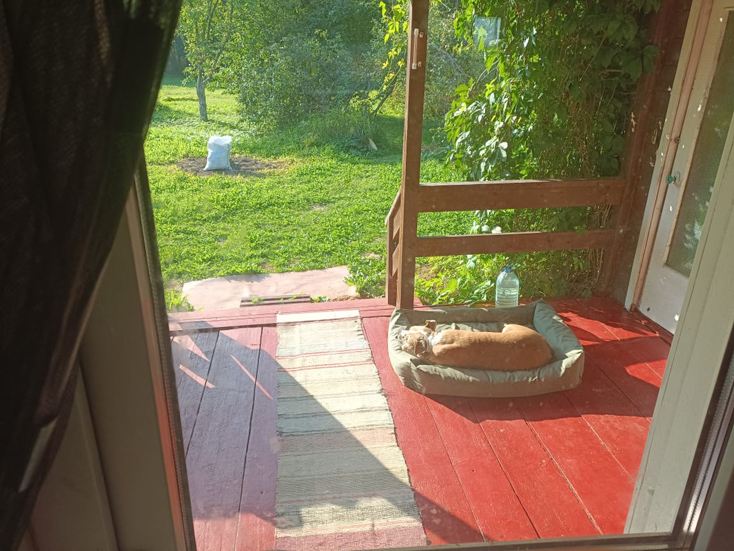 1B8811D8-0BA1-4ADC-8816-930D6C3193A1