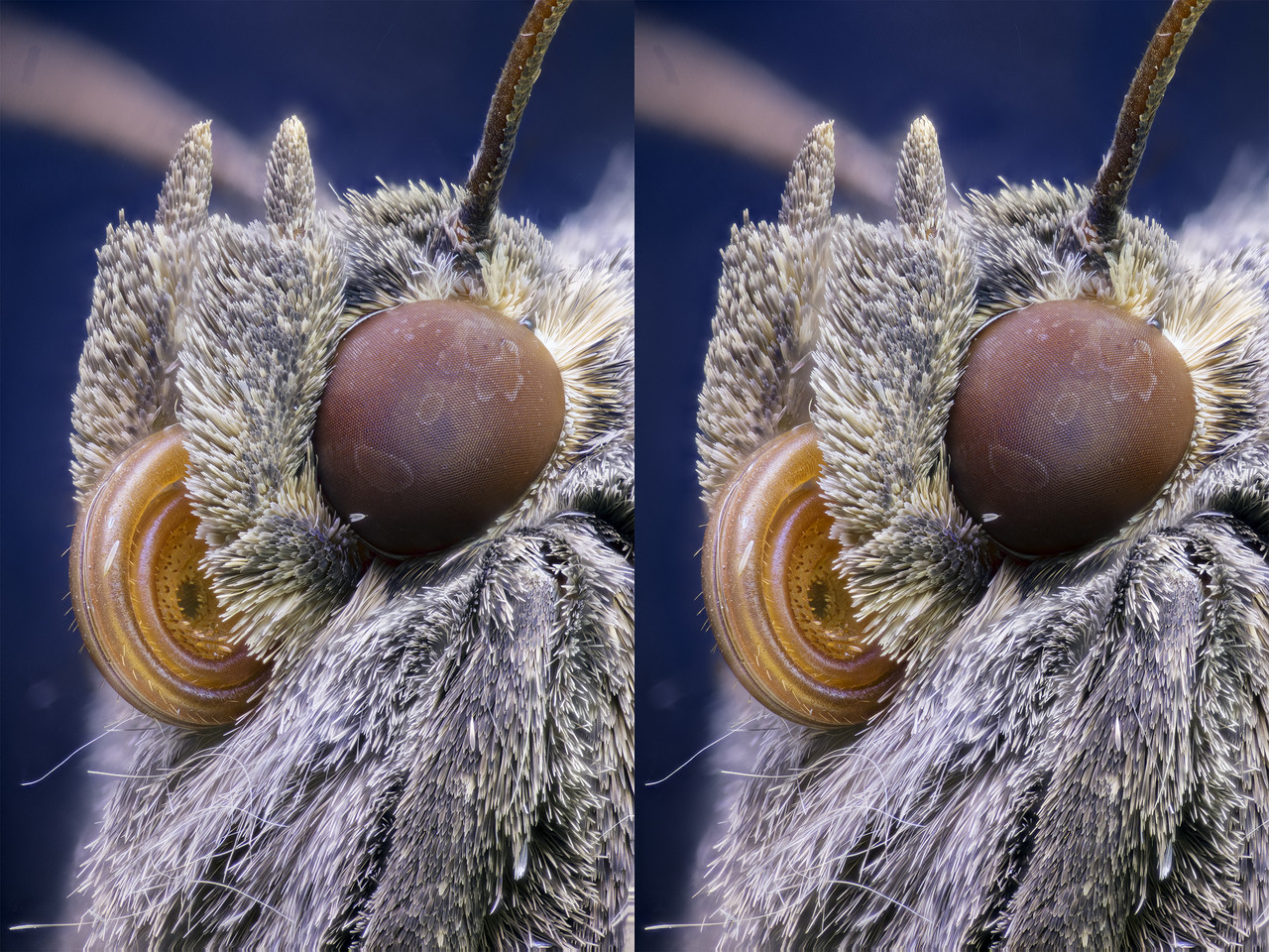 Stereo 2 6 Cross TPnd 4K