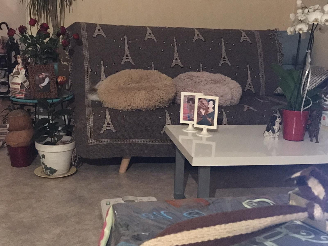 449275A4-C2A3-4D48-A933-D2D3D089980B