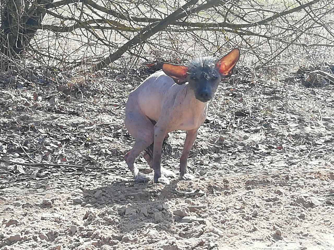 4FF8EF78-34E5-4B4C-ADDD-D0FB7748625A